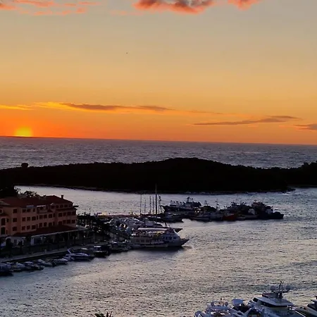 Topic * 브르사르