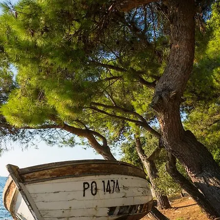 Topic Apartment Vrsar