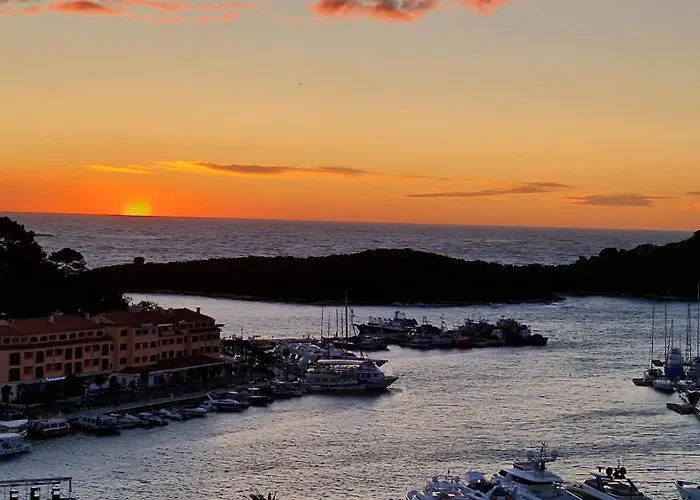 Topic * 브르사르