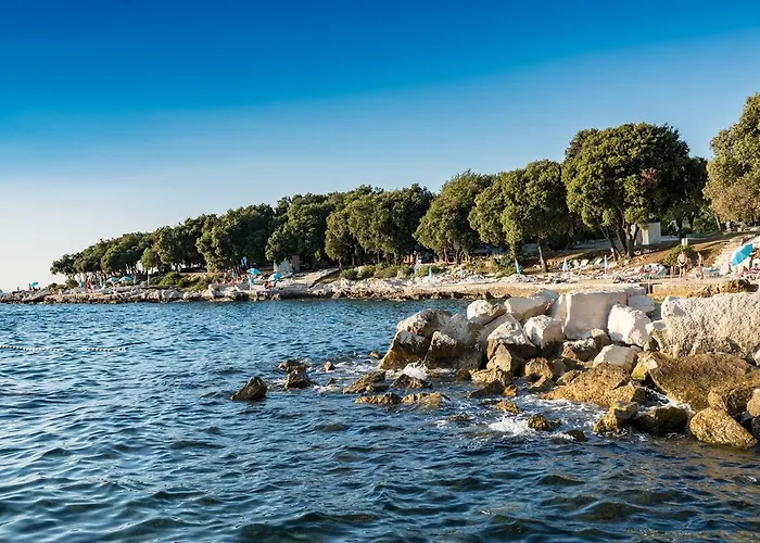 아파트 Topic 브르사르