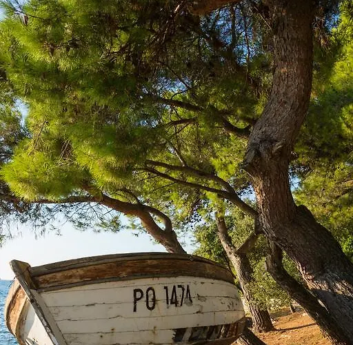 Topic 아파트 브르사르